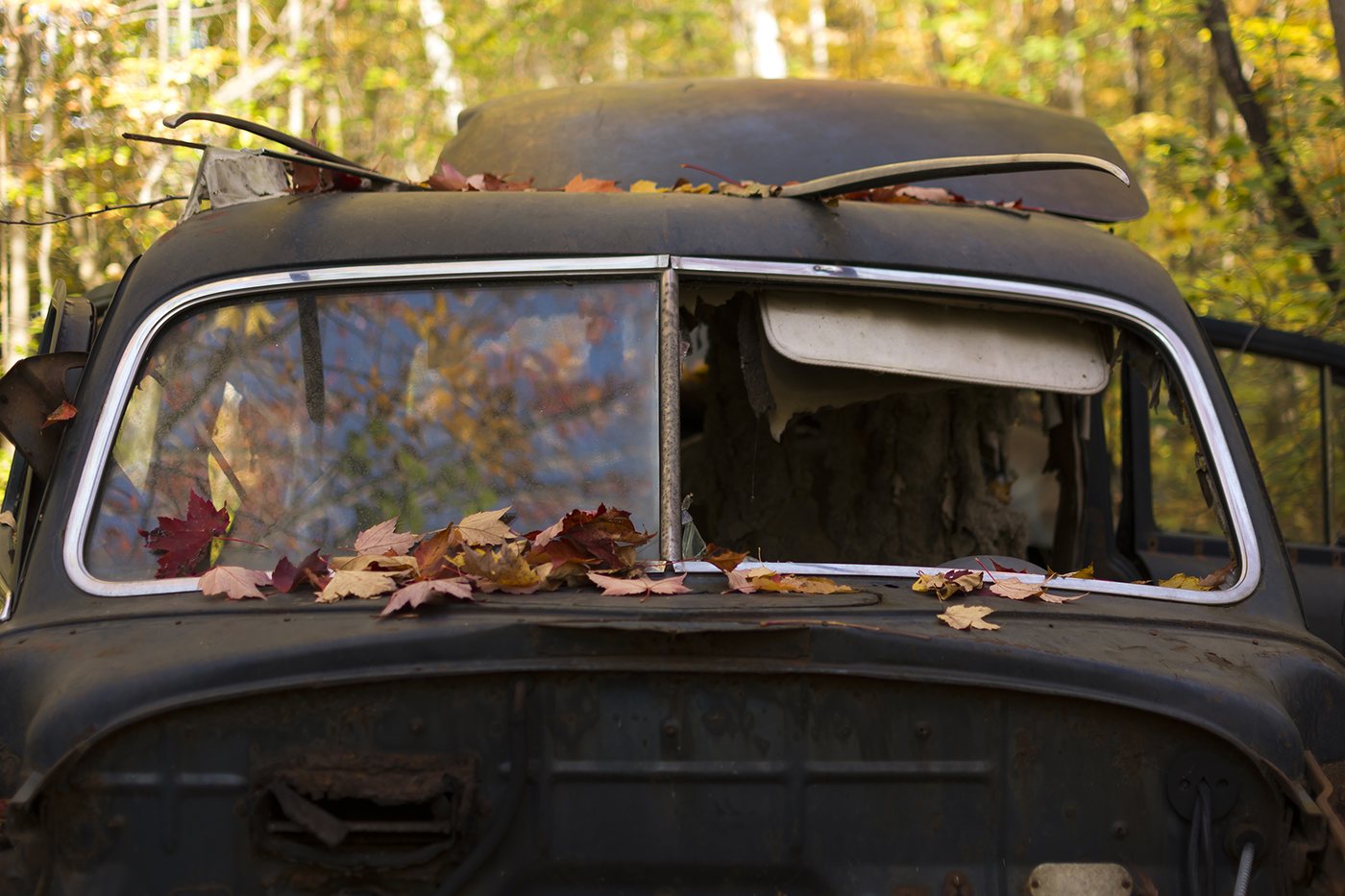 Scrapyard photograph 3 by Marc Vidal