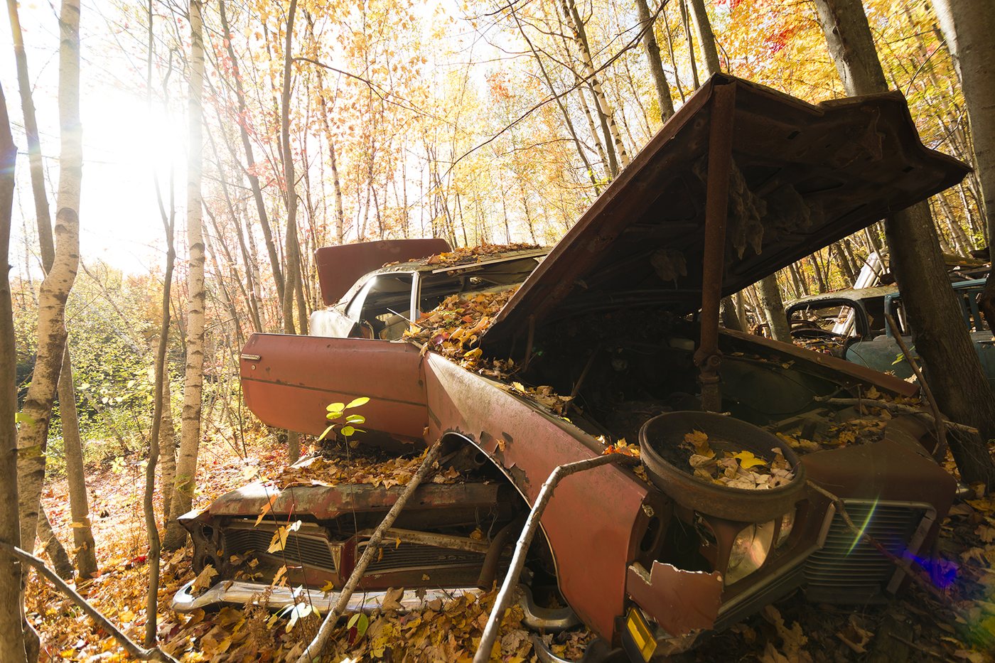 Scrapyard photograph 6 by Marc Vidal