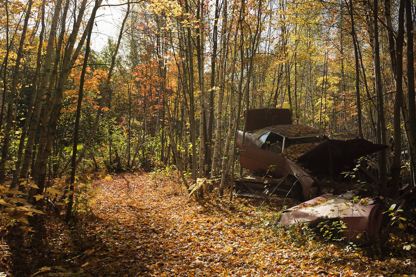 Scrapyard photograph 7 by Marc Vidal