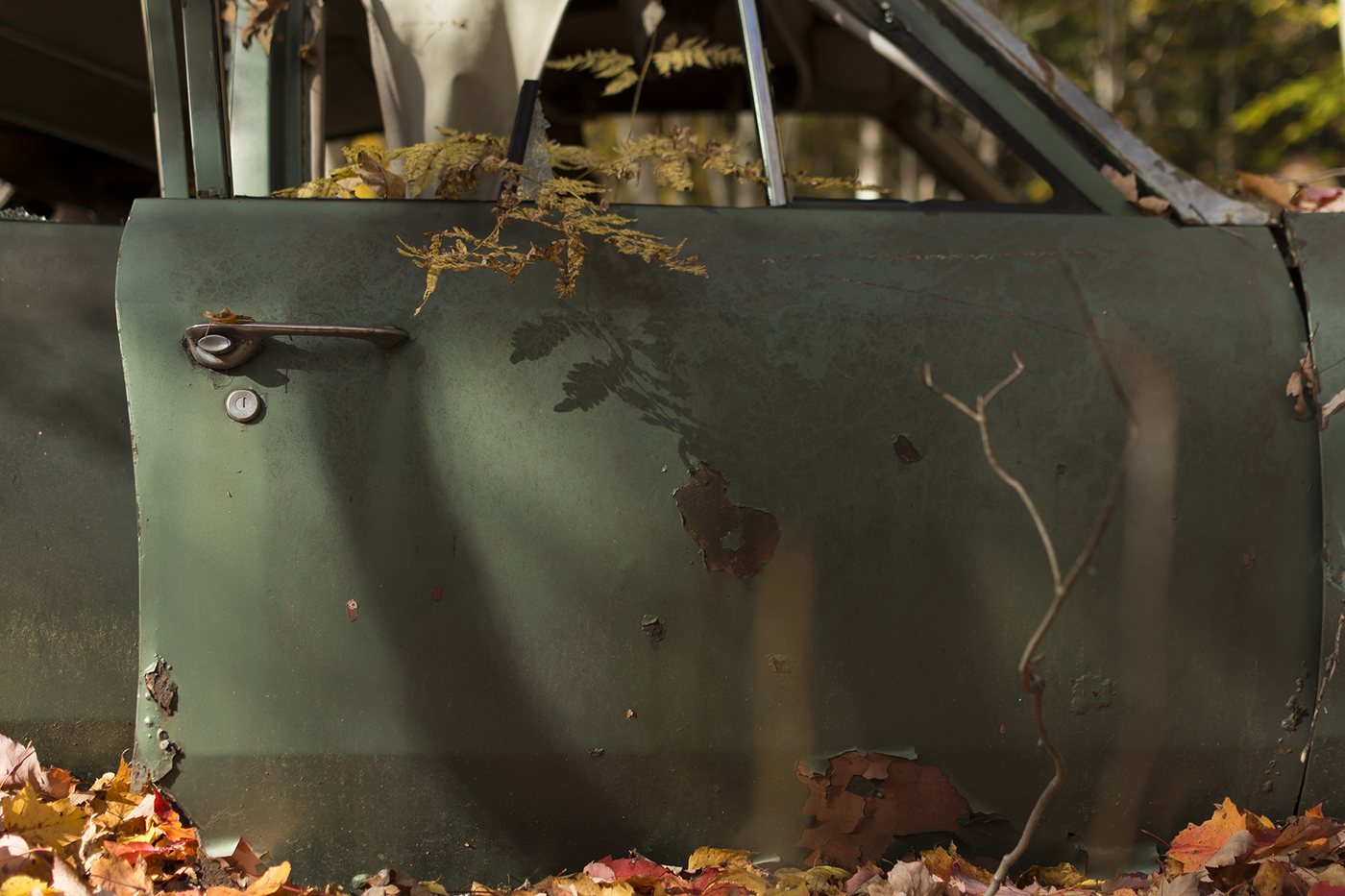 Scrapyard photograph 8 by Marc Vidal