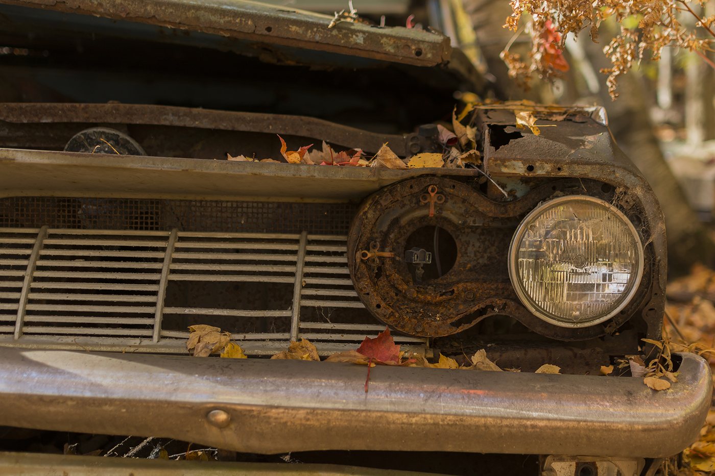 Scrapyard photograph 9 by Marc Vidal