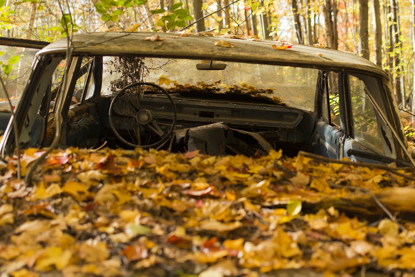 Scrapyard photograph 10 by Marc Vidal