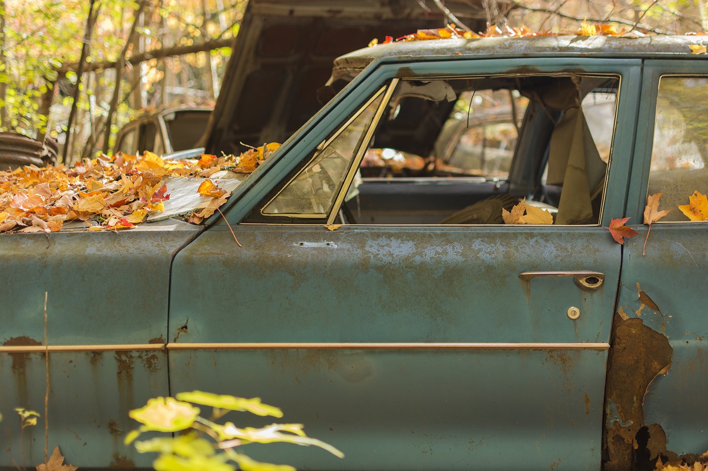 Scrapyard photograph 14 by Marc Vidal