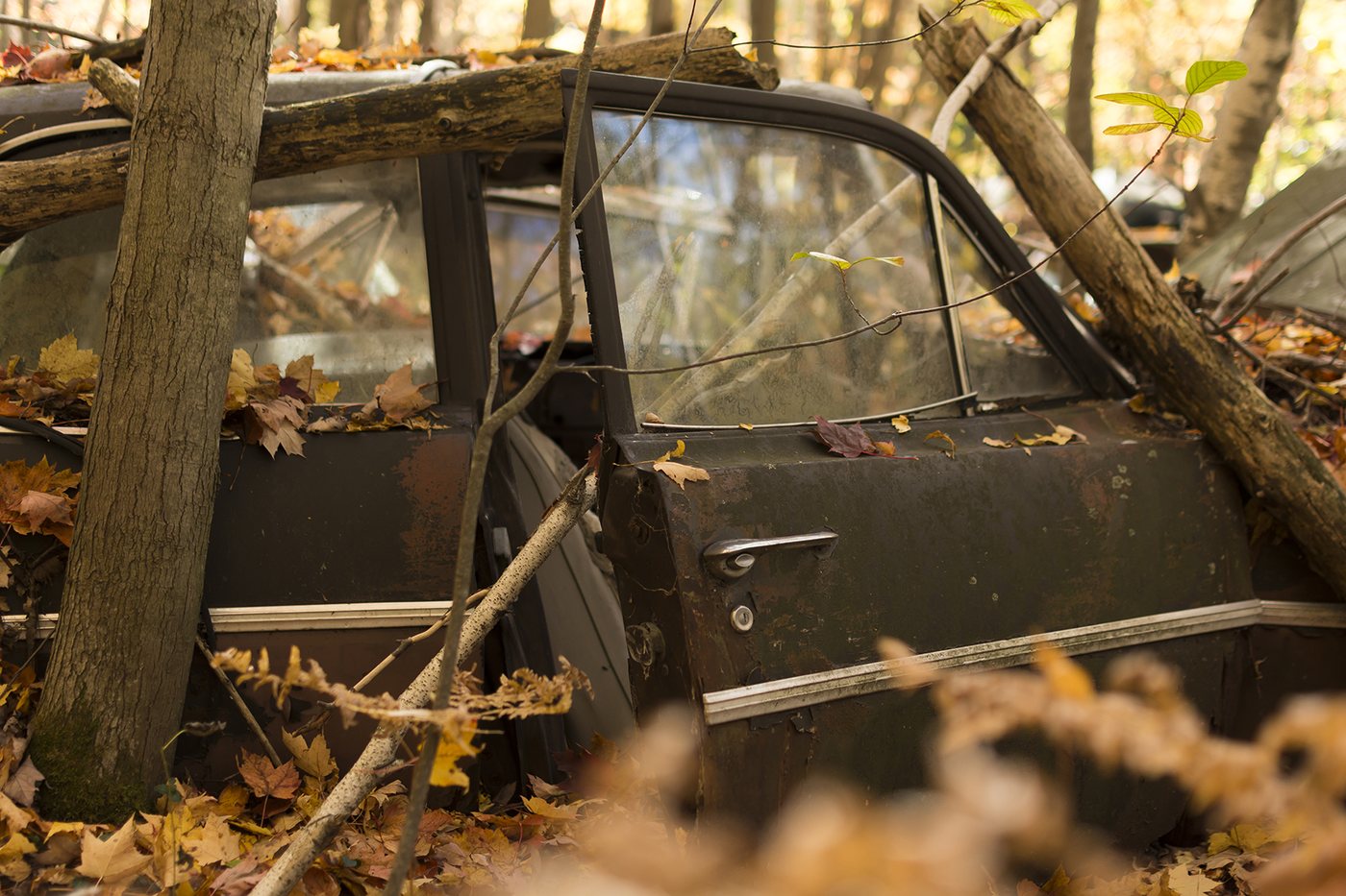 Scrapyard photograph 18 by Marc Vidal