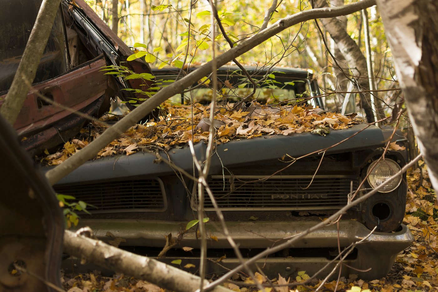 Scrapyard photograph 19 by Marc Vidal