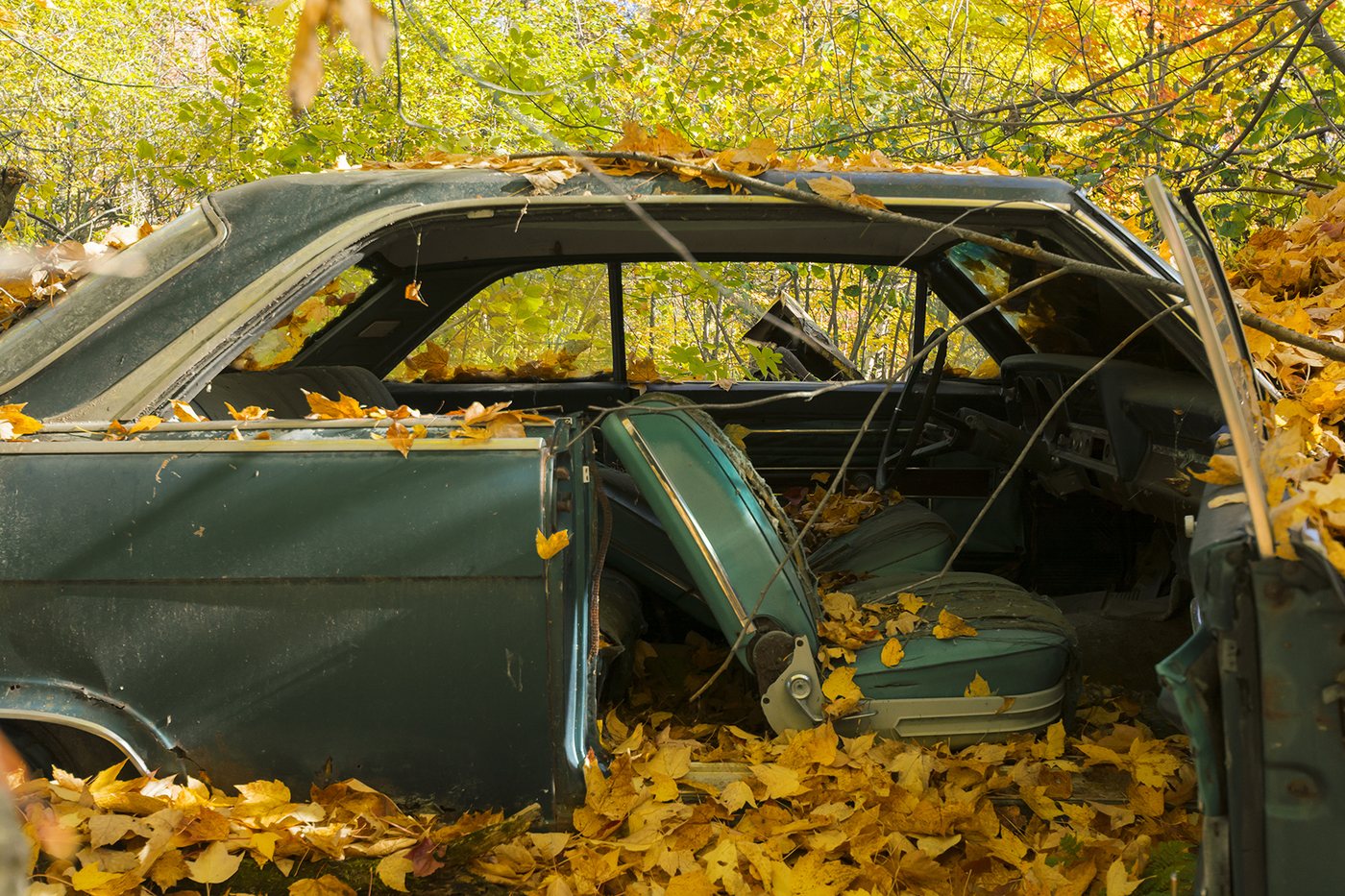 Scrapyard photograph 21 by Marc Vidal