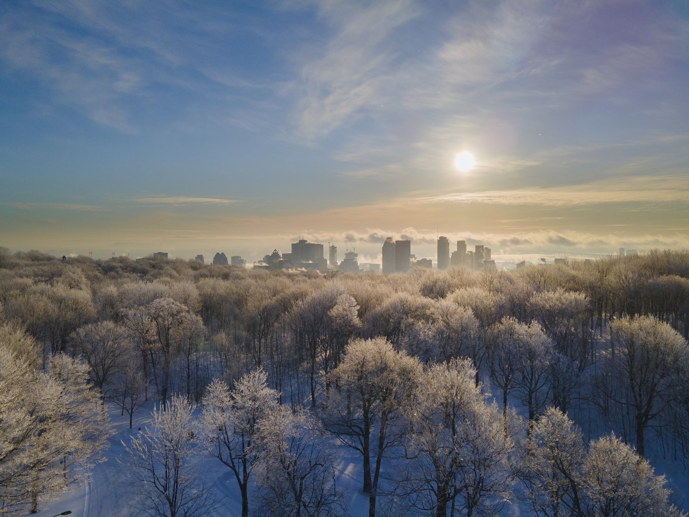 Winter photograph 1 by Marc Vidal