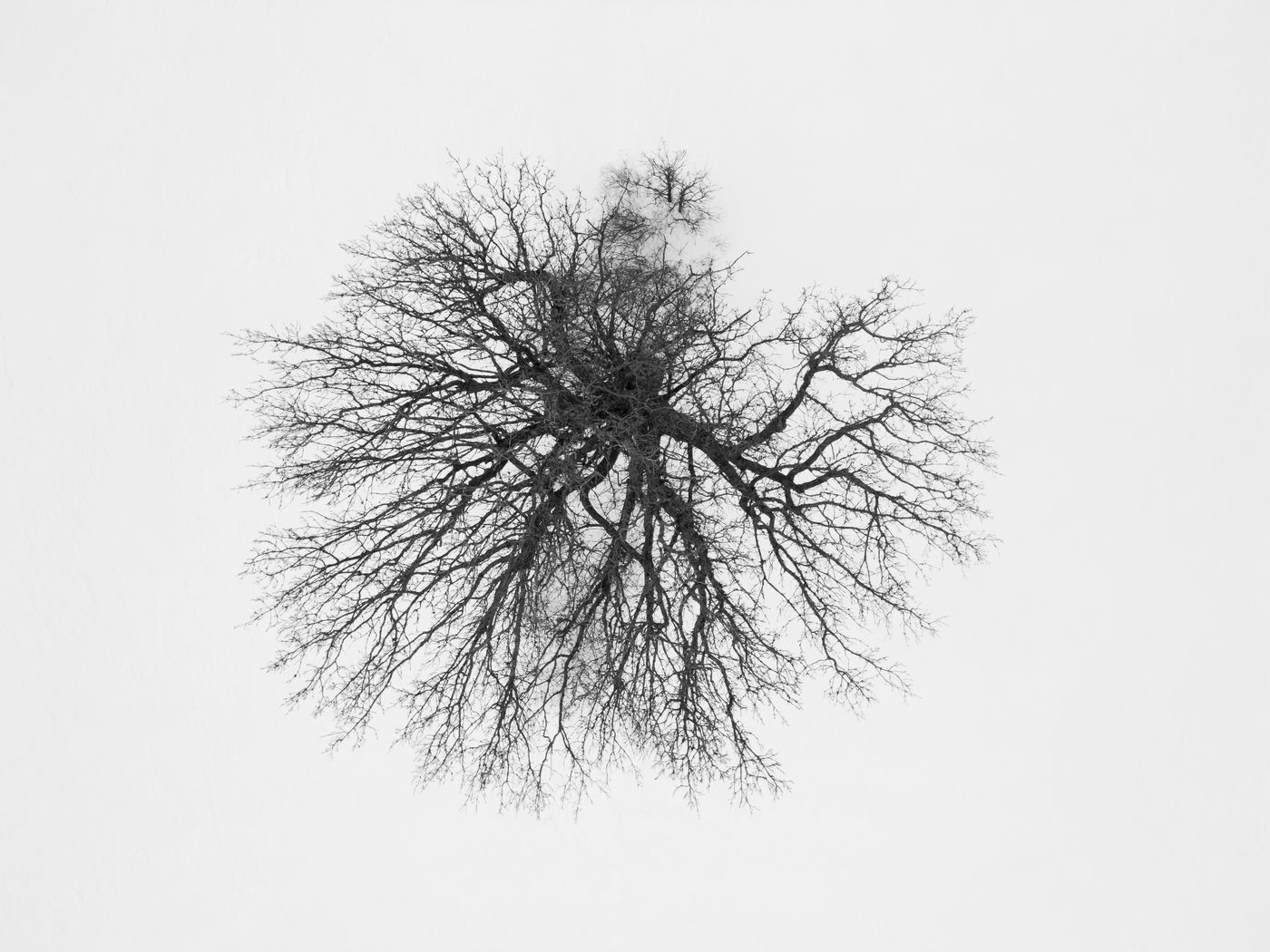 Winter photograph 2 by Marc Vidal