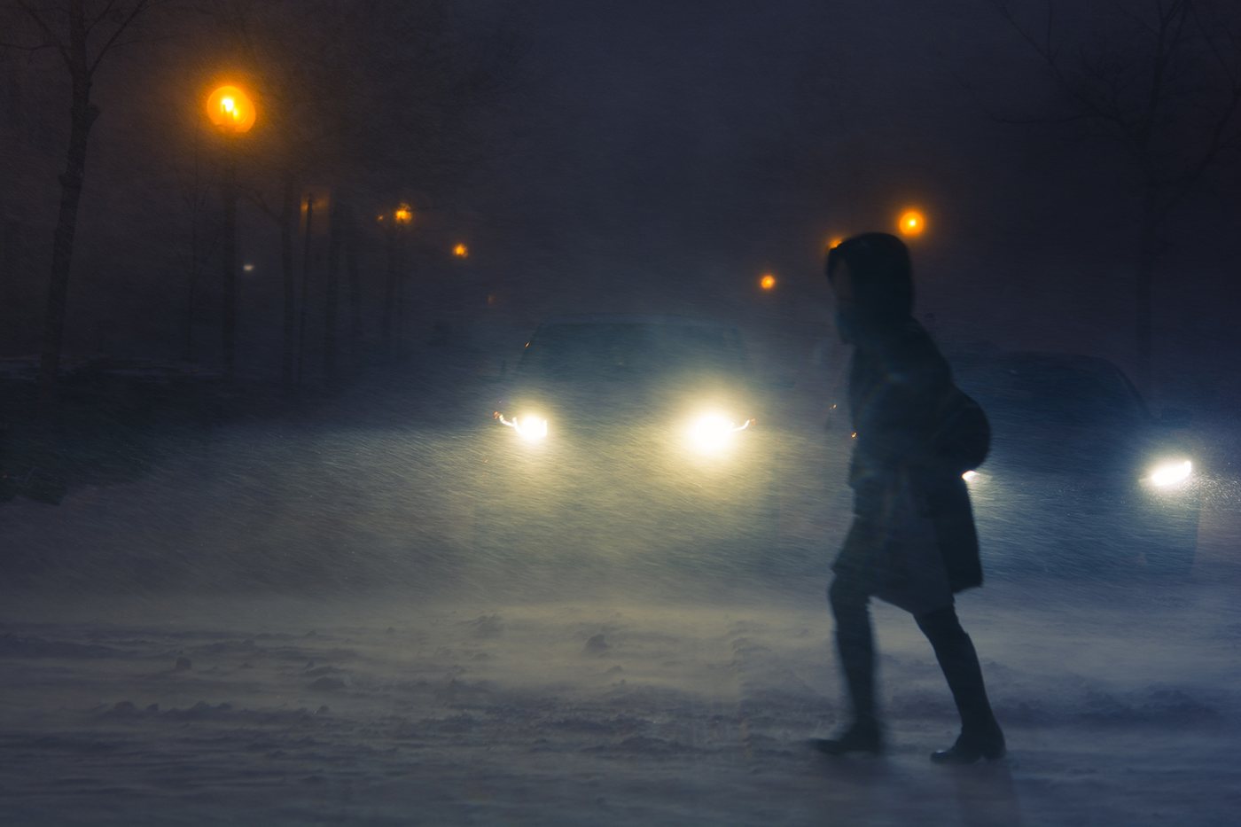 Winter photograph 9 by Marc Vidal