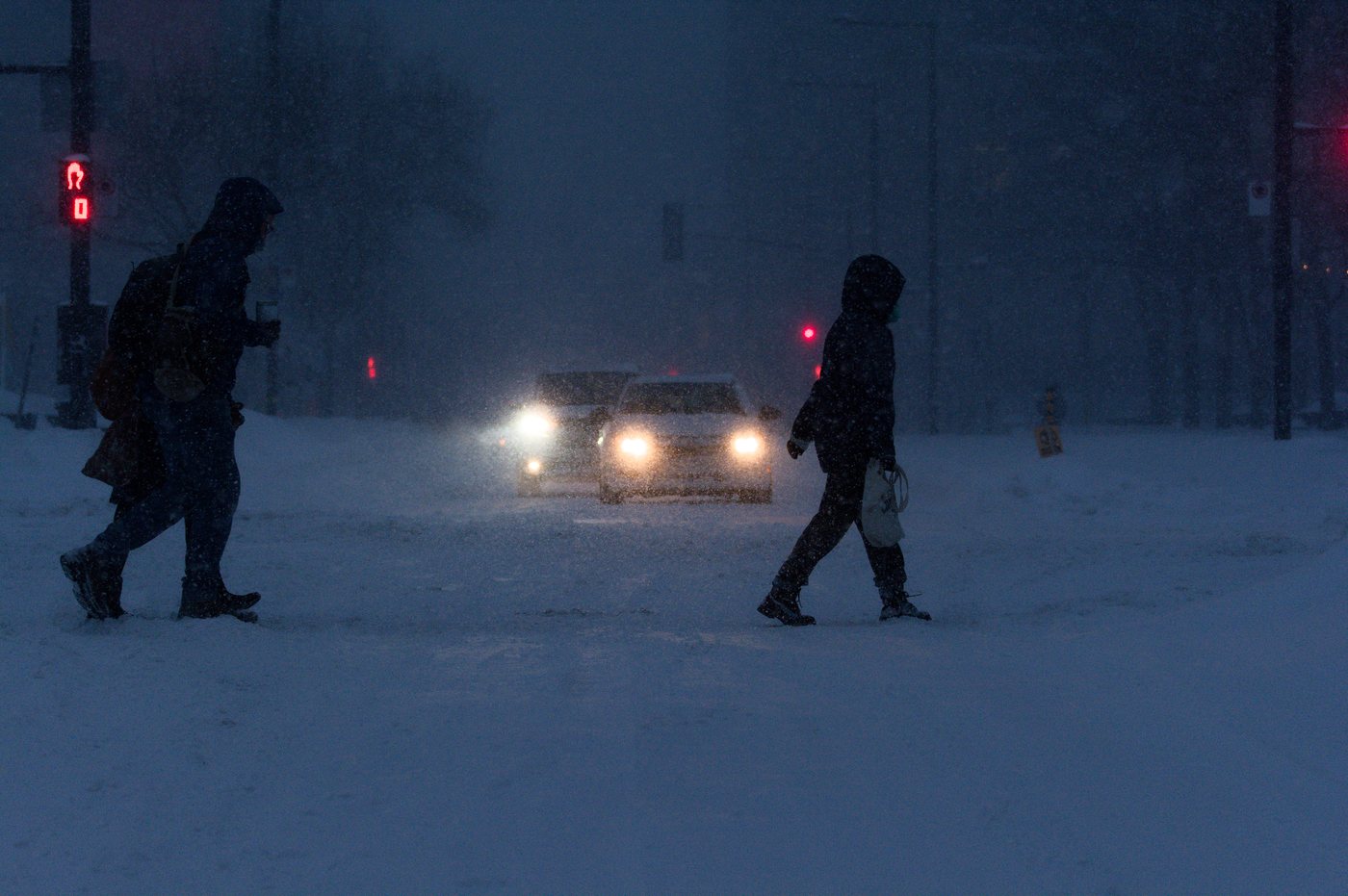 Winter photograph 12 by Marc Vidal